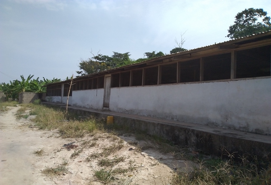 General Agriculture and Agricultural Mechanisation